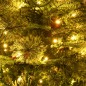 vidaXL Weihnachtsbaum mit Beleuchtung und Kiefernzapfen Grün 150 cm vidaXL Weihnachtsbaum mit Beleuchtung und Kiefernzapfen Grün 150 cm