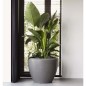 Capi Pflanzvase Arc Granite Konisch Niedrig 60x48 cm Anthrazit Capi Pflanzvase Arc Granite Konisch Niedrig 60x48 cm Anthrazit