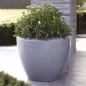 Capi Pflanzvase Arc Granite Konisch Niedrig 60x48 cm Anthrazit Capi Pflanzvase Arc Granite Konisch Niedrig 60x48 cm Anthrazit