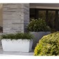 Capi Pflanzvase Arc Granite Konisch Niedrig 60x48 cm Anthrazit Capi Pflanzvase Arc Granite Konisch Niedrig 60x48 cm Anthrazit