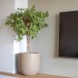 Capi Blumentopf Waste Smooth 43x41 cm Terrazzo Beige Capi Blumentopf Waste Smooth 43x41 cm Terrazzo Beige