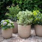 Capi Blumentopf Waste Smooth 43x41 cm Terrazzo Beige Capi Blumentopf Waste Smooth 43x41 cm Terrazzo Beige