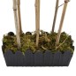 vidaXL Bambusbaum Künstlich 368 Blätter 80 cm Grün vidaXL Bambusbaum Künstlich 368 Blätter 80 cm Grün