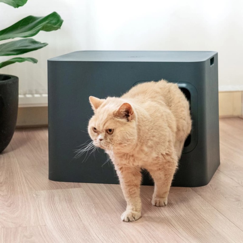 Hoopo Katzentoilette Dome Grau Hoopo Katzentoilette Dome Grau