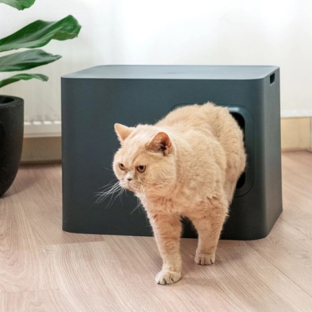Hoopo Katzentoilette Dome Grau
