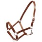 Echtleder Halfter Stallhalfter verstellbar braun voll Echtleder Halfter Stallhalfter verstellbar braun voll