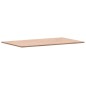 vidaXL Waschtischplatte 100x60x1,5 cm Massivholz Buche vidaXL Waschtischplatte 100x60x1,5 cm Massivholz Buche