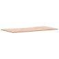 vidaXL Schreibtischplatte 110x(50-55)x1,5 cm Massivholz Buche vidaXL Schreibtischplatte 110x(50-55)x1,5 cm Massivholz Buche