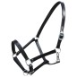 vidaXL Halfter Echtleder Verstellbar Schwarz Pony vidaXL Halfter Echtleder Verstellbar Schwarz Pony