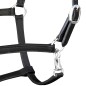 vidaXL Halfter Echtleder Verstellbar Schwarz Pony vidaXL Halfter Echtleder Verstellbar Schwarz Pony