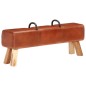 vidaXL Vintage Turnbock-Bank mit Griffen Echtes Ziegenleder vidaXL Vintage Turnbock-Bank mit Griffen Echtes Ziegenleder