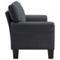 vidaXL 2-Sitzer-Sofa Dunkelgrau Stoff vidaXL 2-Sitzer-Sofa Dunkelgrau Stoff