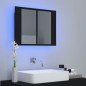 vidaXL LED-Bad-Spiegelschrank Schwarz 60x12x45 cm Acryl vidaXL LED-Bad-Spiegelschrank Schwarz 60x12x45 cm Acryl
