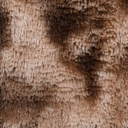 vidaXL Shaggy-Teppich Taupe 170x120 cm