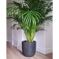 Capi Blumentopf Waste Smooth 43x41 cm Grau Capi Blumentopf Waste Smooth 43x41 cm Grau