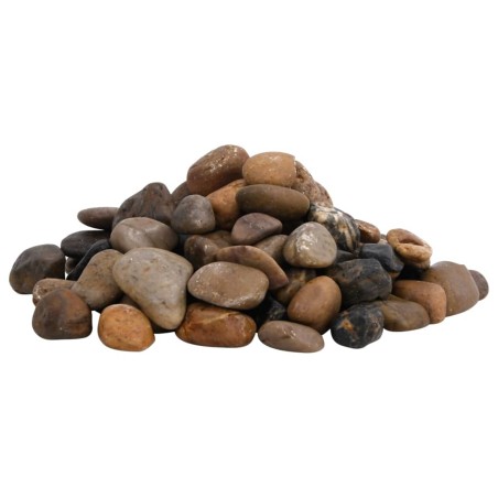 vidaXL Polierte Kiesel 25 kg Mehrfarbig 2-5 cm