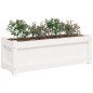vidaXL Pflanzkübel Weiß 90x31x31 cm Massivholz Kiefer vidaXL Pflanzkübel Weiß 90x31x31 cm Massivholz Kiefer