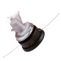 Einhell 2-in-1 Benzin-Sense GC-BC 25 AS 800 W 3436510 Einhell 2-in-1 Benzin-Sense GC-BC 25 AS 800 W 3436510