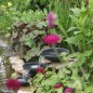 Ubbink Acqua Arte Wasserfall Mistaya Schwarz 1312102 Ubbink Acqua Arte Wasserfall Mistaya Schwarz 1312102