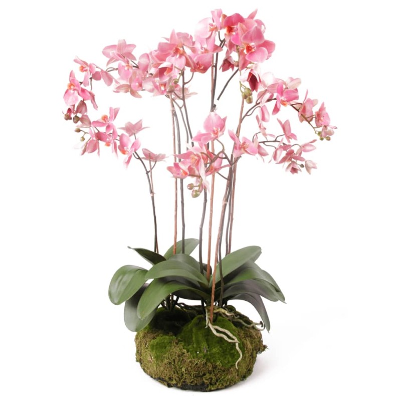 Emerald Kunstpflanze Phalaenopsis mit Moos Rosa 75 cm 417662 Emerald Kunstpflanze Phalaenopsis mit Moos Rosa 75 cm 417662