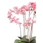 Emerald Kunstpflanze Phalaenopsis mit Moos Rosa 75 cm 417662 Emerald Kunstpflanze Phalaenopsis mit Moos Rosa 75 cm 417662
