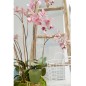 Emerald Kunstpflanze Phalaenopsis mit Moos Rosa 75 cm 417662 Emerald Kunstpflanze Phalaenopsis mit Moos Rosa 75 cm 417662