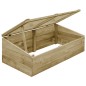 vidaXL Gewächshäuser 2 Stk. Imprägniertes Kiefernholz 100x50x35 cm vidaXL Gewächshäuser 2 Stk. Imprägniertes Kiefernholz 100x50x35 cm