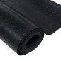vidaXL Bodenmatte Rutschfest Gummi 1,5x4 m 3 mm Punktmuster vidaXL Bodenmatte Rutschfest Gummi 1,5x4 m 3 mm Punktmuster