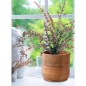 Home&Styling 3-tlg. Pflanzentopf-Set Mango Massivholz Natur Home&Styling 3-tlg. Pflanzentopf-Set Mango Massivholz Natur