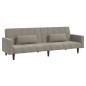vidaXL Schlafsofa 2-Sitzer mit 2 Kissen Hellgrau Samt vidaXL Schlafsofa 2-Sitzer mit 2 Kissen Hellgrau Samt