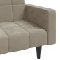 vidaXL Schlafsofa 2-Sitzer mit 2 Kissen Hellgrau Samt vidaXL Schlafsofa 2-Sitzer mit 2 Kissen Hellgrau Samt