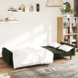 vidaXL Schlafsofa 2-Sitzer Dunkelgrün Samt vidaXL Schlafsofa 2-Sitzer Dunkelgrün Samt