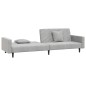 vidaXL Schlafsofa 2-Sitzer mit 2 Kissen Hellgrau Samt vidaXL Schlafsofa 2-Sitzer mit 2 Kissen Hellgrau Samt