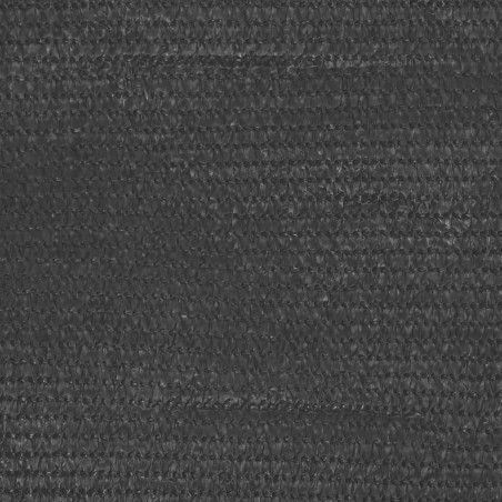 vidaXL Zeltteppich 200x200 cm Anthrazit