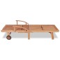 vidaXL Sonnenliege Massivholz Teak vidaXL Sonnenliege Massivholz Teak