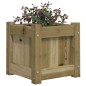 vidaXL Pflanzkübel 31x31x31 cm Kiefernholz Imprägniert vidaXL Pflanzkübel 31x31x31 cm Kiefernholz Imprägniert