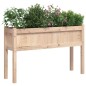 vidaXL Pflanzkübel 2 Stk. mit Beinen Massivholz Kiefer vidaXL Pflanzkübel 2 Stk. mit Beinen Massivholz Kiefer