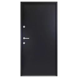 Haustür Aluminium Anthrazit 110x207,5 cm