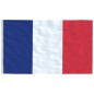 vidaXL Französische Flagge mit Mast 6,23 m Aluminium vidaXL Französische Flagge mit Mast 6,23 m Aluminium