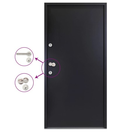 Haustür Aluminium Anthrazit 100x200 cm