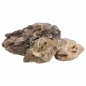 vidaXL Drachensteine 10 kg Grau 10-40 cm vidaXL Drachensteine 10 kg Grau 10-40 cm