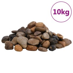 vidaXL Polierte Kiesel 10 kg Mehrfarbig 2-5 cm