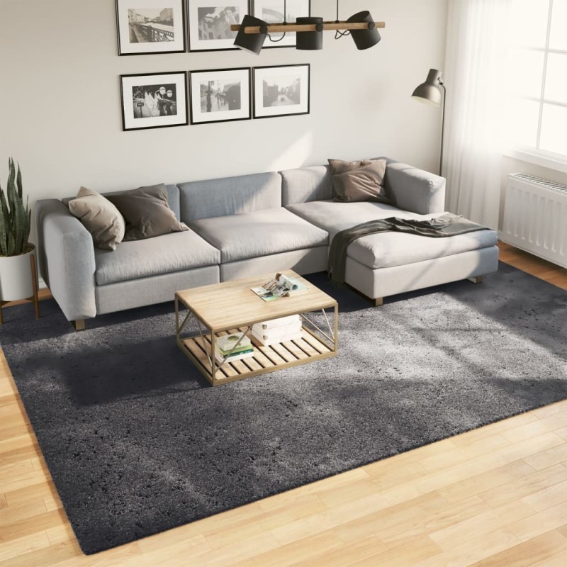 vidaXL Teppich Kurzflor Weich und Waschbar Anthrazit 240x340 cm vidaXL Teppich Kurzflor Weich und Waschbar Anthrazit 240x340 cm