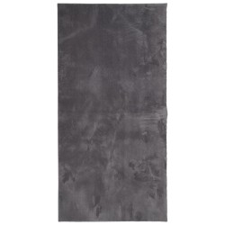 vidaXL Teppich HUARTE Kurzflor Weich und Waschbar Anthrazit 100x200 cm
