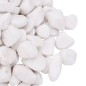 vidaXL Polierte Kiesel 25 kg Weiß 2-5 cm vidaXL Polierte Kiesel 25 kg Weiß 2-5 cm