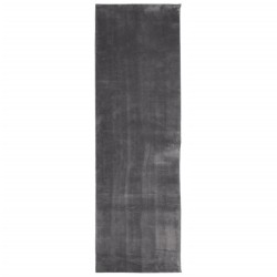 vidaXL Teppich Kurzflor Weich und Waschbar Anthrazit 80x250 cm