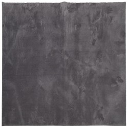 vidaXL Teppich Kurzflor Weich und Waschbar Anthrazit 160x160 cm