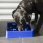 EAT SLOW LIVE LONGER Anti-Schling-Napf für Hunde Star Blau S EAT SLOW LIVE LONGER Anti-Schling-Napf für Hunde Star Blau S