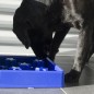 EAT SLOW LIVE LONGER Anti-Schling-Napf für Hunde Star Blau S EAT SLOW LIVE LONGER Anti-Schling-Napf für Hunde Star Blau S