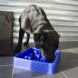 EAT SLOW LIVE LONGER Anti-Schling-Napf für Hunde Star Blau S EAT SLOW LIVE LONGER Anti-Schling-Napf für Hunde Star Blau S